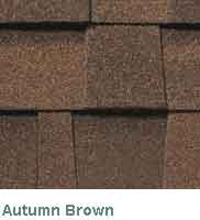 Autumn Brown
